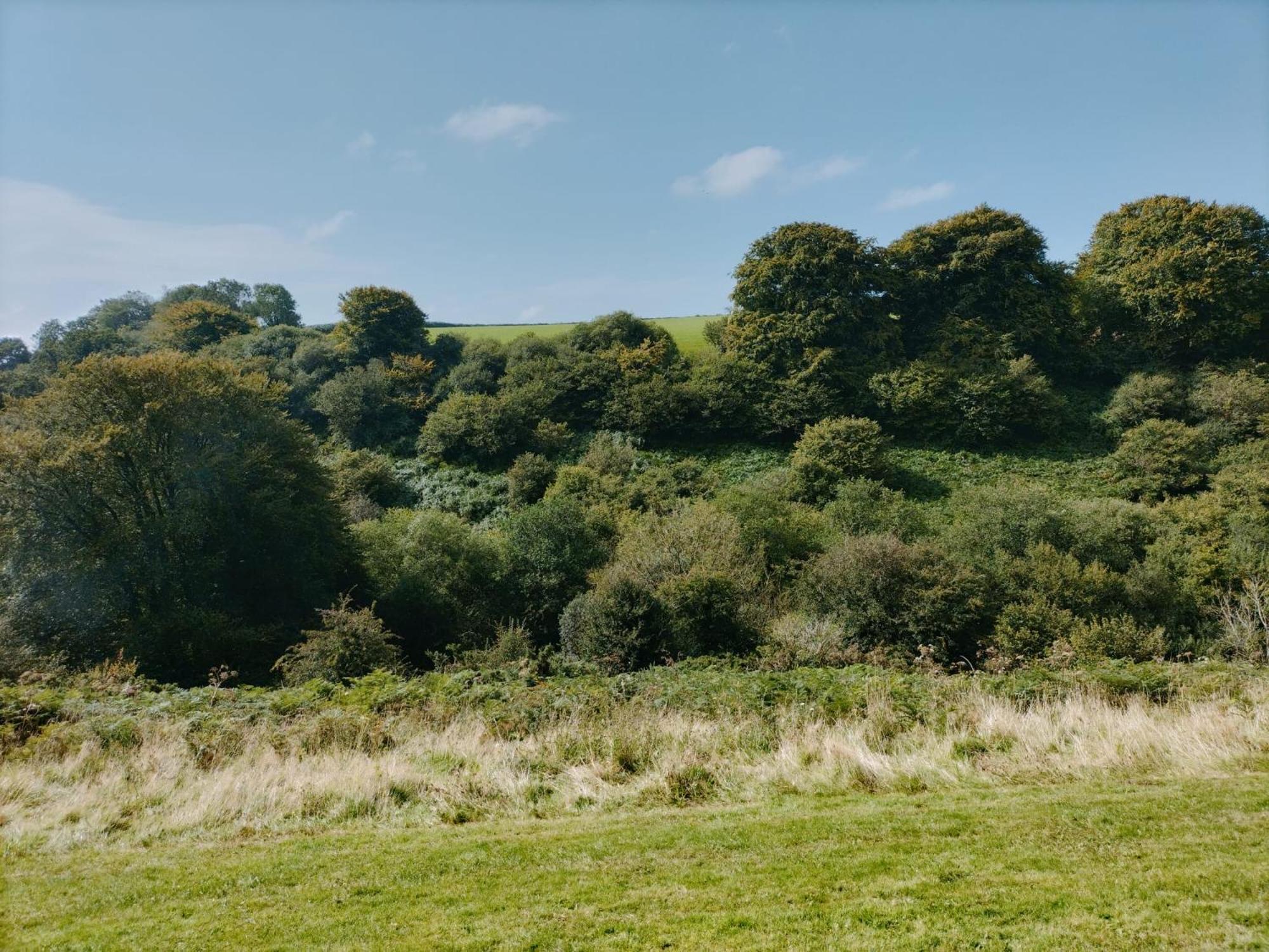 22 Stowford Gardens Combe Martin公寓 外观 照片