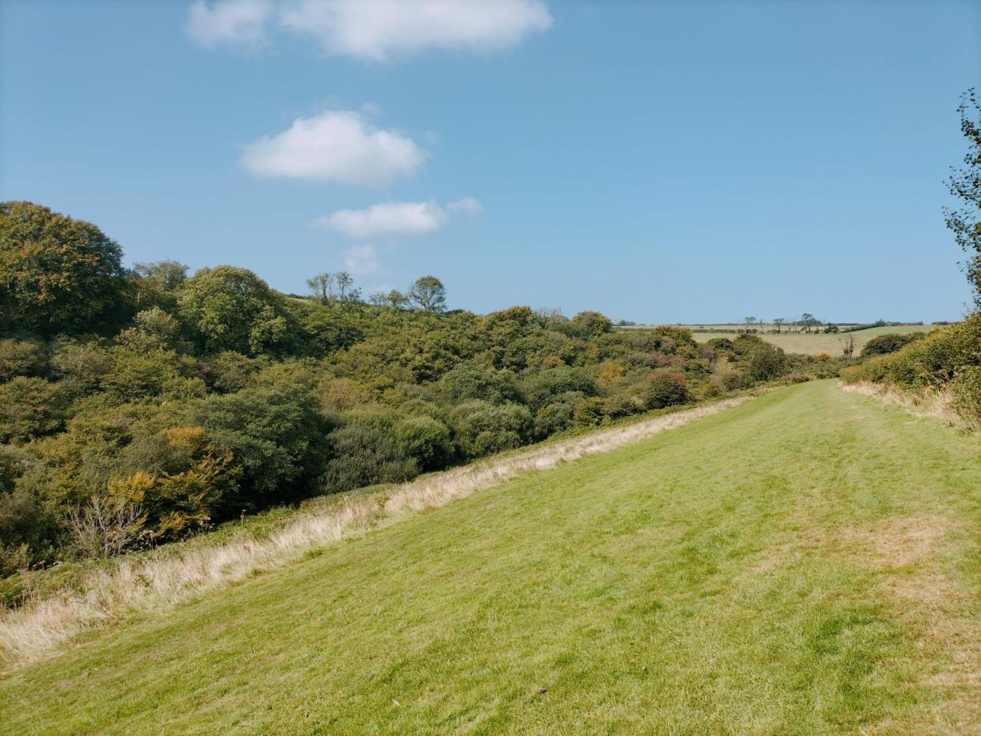 22 Stowford Gardens Combe Martin公寓 外观 照片